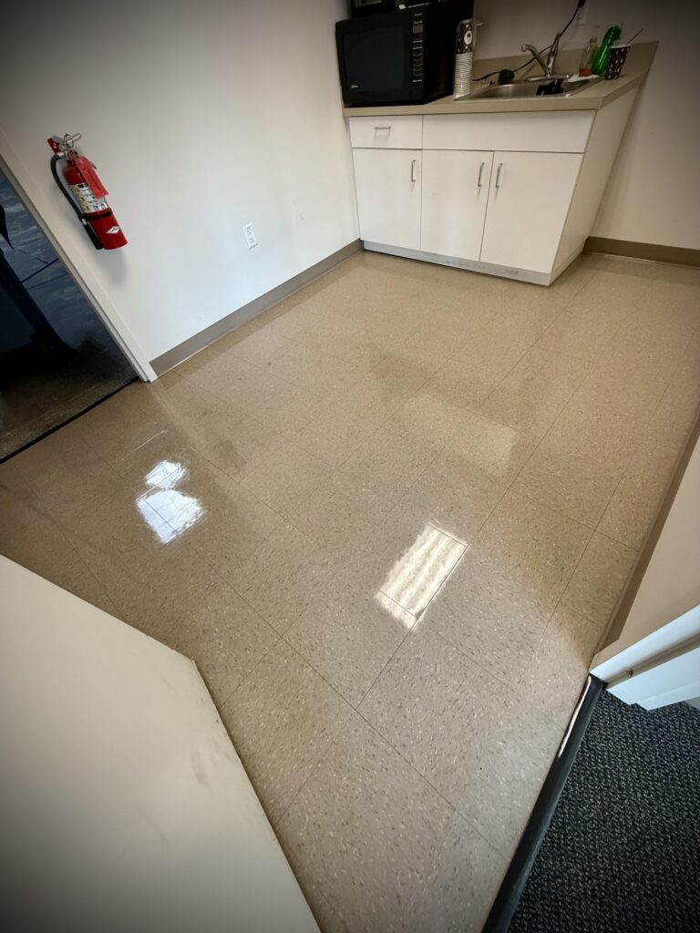 orlando vinyl floor polishing